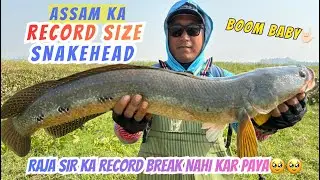 Assam ka Record Size Snakehead 😱 | Year Ending Monster Catch🎣🐟