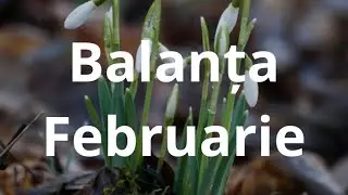 Весы 😘 Февраль!! Разнообразные решения, которые принесут волшебство!!