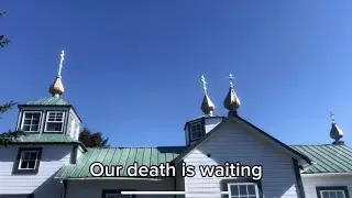 A contemplation of life and death