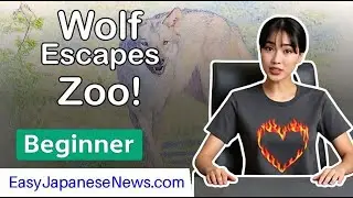 How a Wolf Escaped Tokyo's Tama Zoo: The Shocking Details | Beginner #LearnJapanese