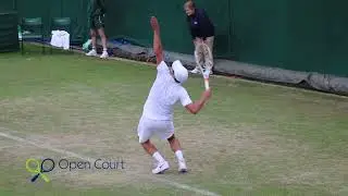 Polansky heartbreak in qualies - Wimbledon 2017