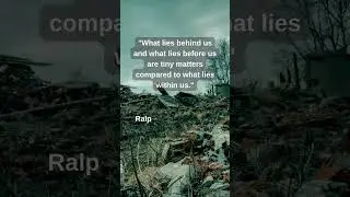 Powerful World War 2 Quotes That Will Inspire You | Historical Short