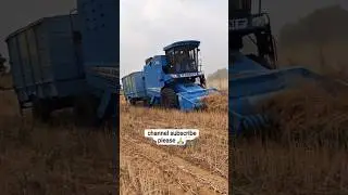 Punni AC Cabin Harvester Combine | Sarson Cutting 2025 | High Speed & Performance Review#shorts