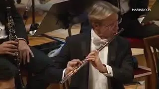 S.Prokofiev Peter and Wolf,Op.67, Flute Solo/Nikolai Mokhov