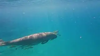 Welcome to Bahia Mar - Vilankulo, Mozambique