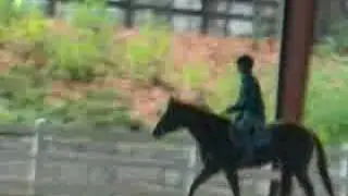 Jordan Riding