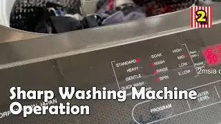 Опыт эксплуатации стиральной машины Sharp Top Load ESX159