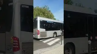 Mercedes Citaro Facelift LE
