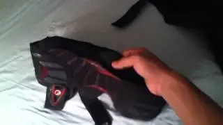 Dye assault attack harness