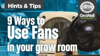 9 Ways to Use your Fans | Hints & Tips