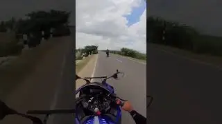 z800 wheeling 🥵 heart racer rc / hr / HRFB/ #z800 #wheelie #superbike #subscribe #supportme #speed