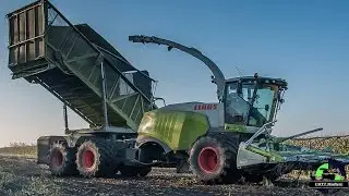 Claas Jaguar 960 Bunker forage Havester / Fieldshuttle mit Claas Orbis beim Mais häckseln 2015