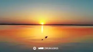 Anth M - Like Butterflies feat. Nori