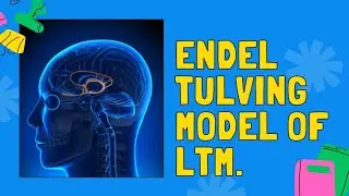 ENDEL TULVING | LONG TERM MEMORY | BASICS | UGC NET PSYCHOLOGY PREPRATION | #ugcnetjrf #ugcnet2023