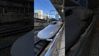 These Bullet Trians Had An Unexpected Issue 😨