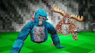 Running comp kind of #gorillatag #comp2k #vr #gorillatagquest #gtag #gorilla #oculusquest3s #gtc ￼