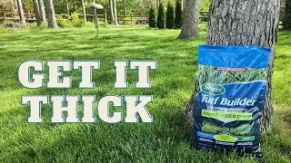 Spring Fertilizer with Tenacity // Seeding with results!!!