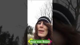 Gr&uuml;ner Leben: M&uuml;ll in der Natur