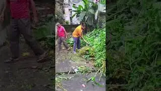 A little contribution to the Swach Bharat Abhiyan #pmmodi #swachhbharat