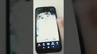 2 июня 2024 г.