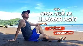 Las VECINAS de Garabito: Playa Agujas & Bochinche 🇨🇷