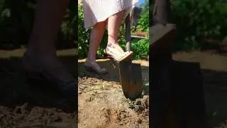 Новое вдохновение каждый день ❤️ видео носит исключительно развлекательный характер #стиль #reels