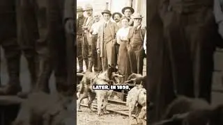 From Juneau to Nome: The Story of Alaska&rsquo;s Gold Boom