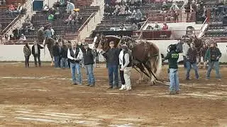 6 of 6 Horse Pulling Competition - Lightweight 2022 PA Farm Show