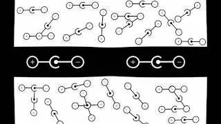 Don Garnelli - Negative Polarity