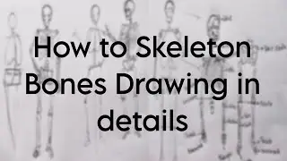 How To Draw Skeleton in Details #sketch #trending #art #drawing #class #online #@Uma_Artz_Creation 