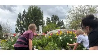 Planting pansies with some grand kids