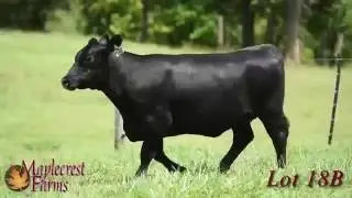 Lot 18B, Maplecrest Blackcap R5204