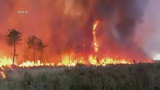 Wildfires ravaging parts of Spain and France