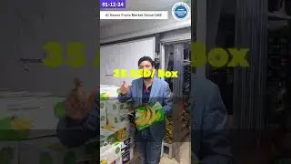 G9 Banana Export केला एक्सपोर्ट करो डॉलर्स कमाओ  #importexportbusiness #bananaexport