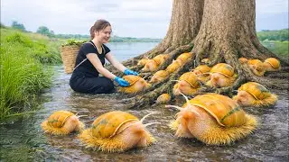 Harvesting Millions Wild Golden Snails, Cooking Spicy Snail Soup | Selling Out Quickly at Market