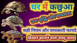 ✨धन-वृद्धि और सफलता के लिए कछुआ कैसे रखें? ||पीतल और क्रिस्टल कछुआ: किस्मत बदलने वाला वास्तु उपाय✨
