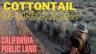 Cottontail Rabbit Hunting on California Public Lands 2021 Opening Day - I Got Two With One Shot!