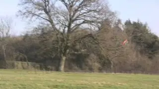 Heli Harry - Trex 450 Pro