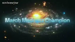 Event Visual Identity Loops 4 | Hire us For Motion Graphics & Video Editing
