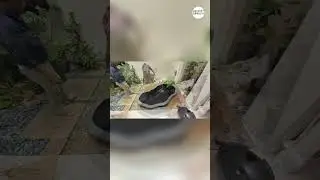 A modern design koi fish pond with fibre tank | Konzept Garden
