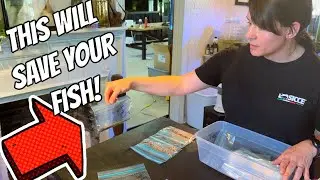 Being Prepared Is Key To Animal Survival Vlog #3/31