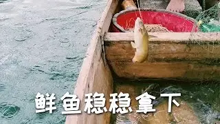 排延鉤出馬，鮮魚穩穩拿下【漁民 梁少】