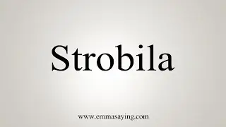 How To Say Strobila