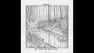 Nemorous - Quiescence Track Premier