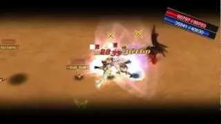 Silkroad 120Lv Pvp  CavvaLieRe - Warrior / Cleric
