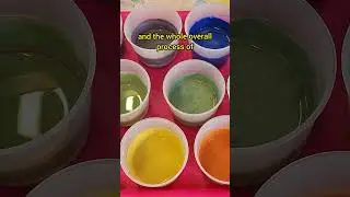 Splashy NZ - Painting ceramics! #shorts #Hamilton #newzealand #travel #art #vlog #paint #pottery