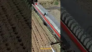 Seed Sowing Tool