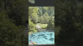 Sharan Track #track #sharan #forest #offroad #offroadpassion #shortsvideo #viralshort #viralvideo
