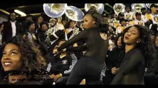 Alabama State Stingettes 