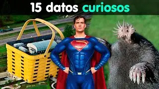 15 datos que apostamos no sabías hace 8 minutos [7]